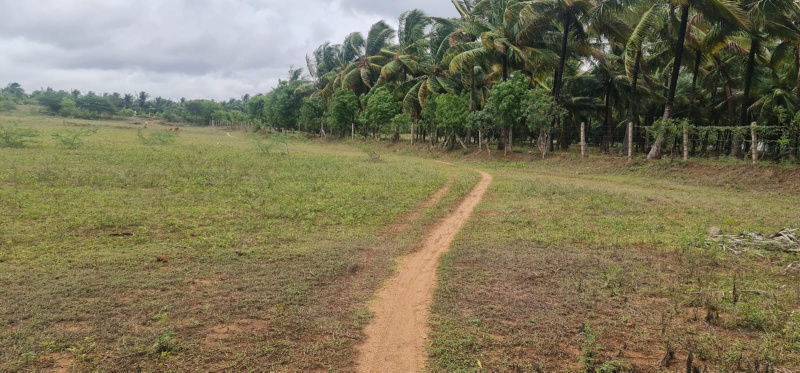 Additional image 3 of Pollachi, Coimbatore