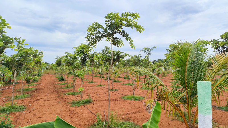 Additional image 3 of East Coast Road, Chennai