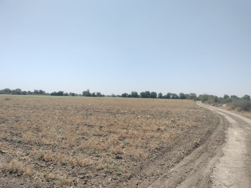 Additional image 3 of Mandal, Ahmedabad