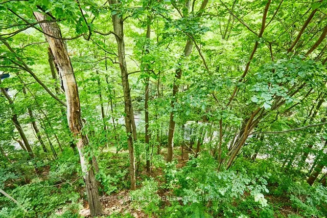 Additional image 24 of 40 Glen Rd Unit 209