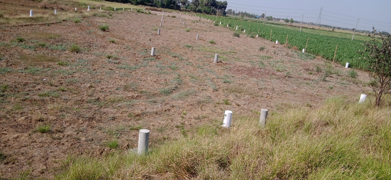 Additional image 3 of Sampatchak, Patna