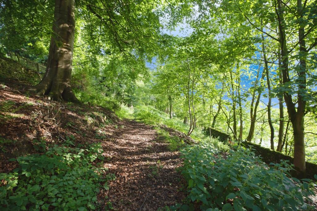 Additional image 19 of Whins Woods, Keighley, West Yorkshire, BD21