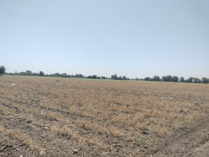 Additional image 2 of Mandal, Ahmedabad