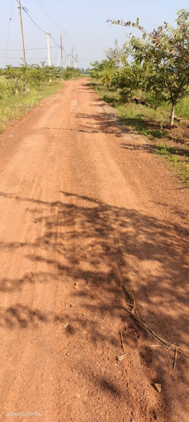 Additional image 3 of Patrapada, Bhubaneswar