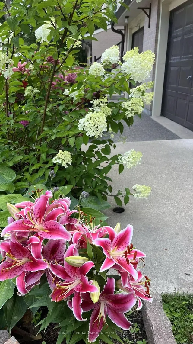 Additional image 27 of 25 Collinsgrove Rd Unit 129