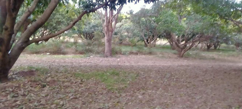 Additional image 3 of Vikas Nagar, Dehradun