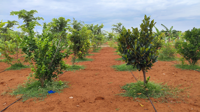 Additional image 2 of East Coast Road, Chennai