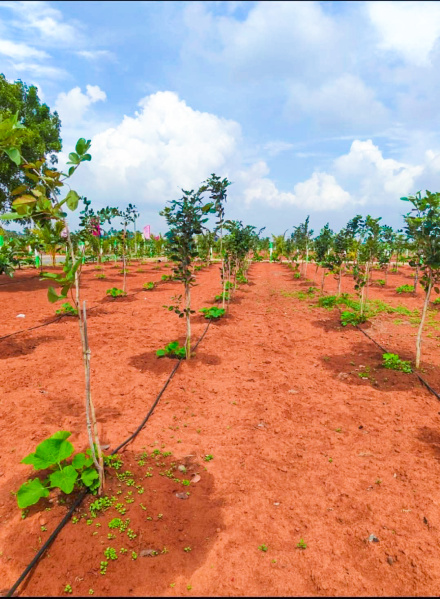 Additional image 3 of East Coast Road, Pondicherry