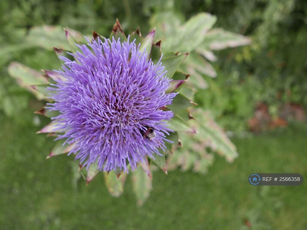 Additional image 13 of Jasmine Place, Aberdeen, AB24