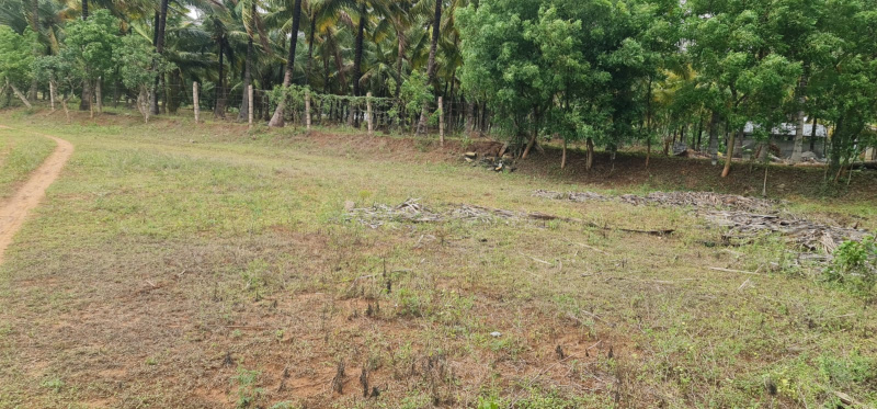 Additional image 2 of Pollachi, Coimbatore