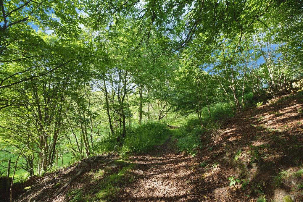 Additional image 20 of Whins Woods, Keighley, West Yorkshire, BD21