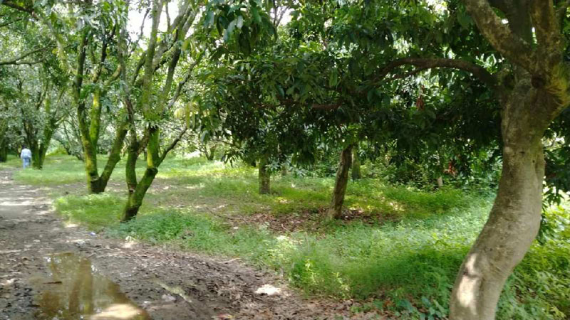 Additional image 2 of Vikas Nagar, Dehradun