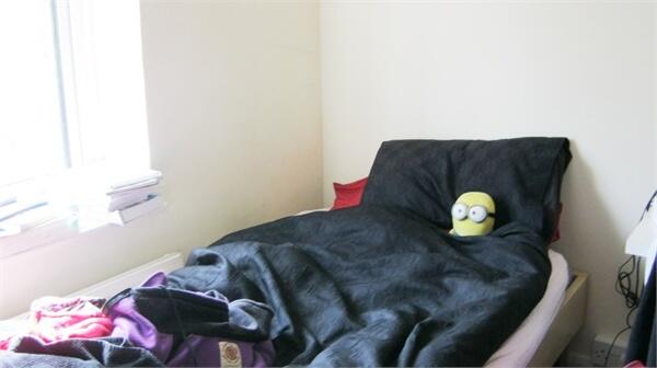 Additional image 7 of Hazel Grove, Hatfield, AL10