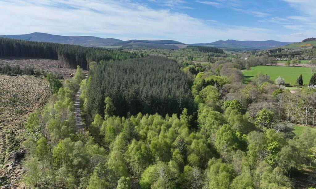 Additional image 2 of Affrusk Woodland, Banchory AB31