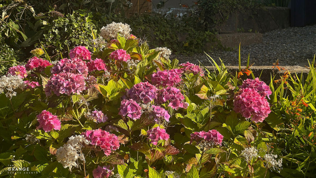 Additional image 33 of Provost Gordon Terrace, Banff, AB45