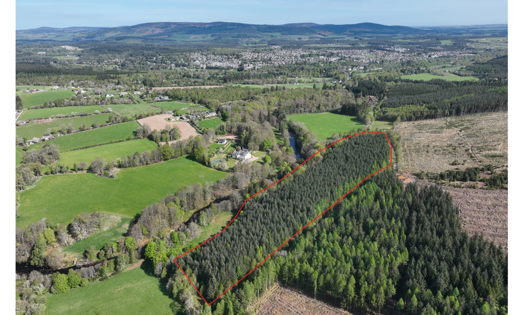 Property image for Affrusk Woodland, Banchory AB31