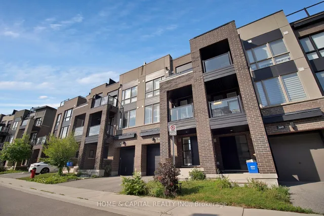 Additional image 2 of 3051 BLACKTUSK Common