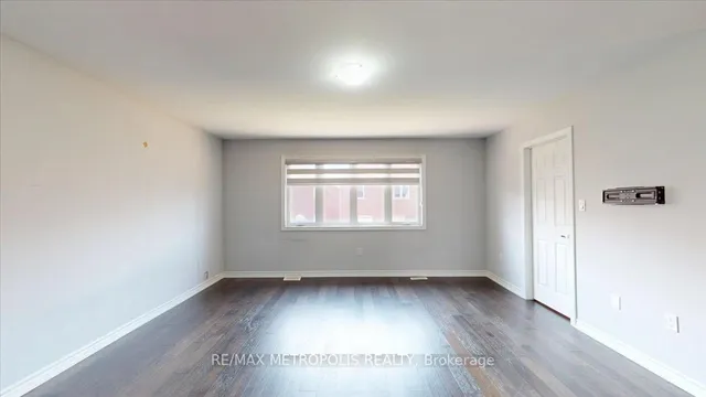 Additional image 22 of 84 Iceland Poppy Tr