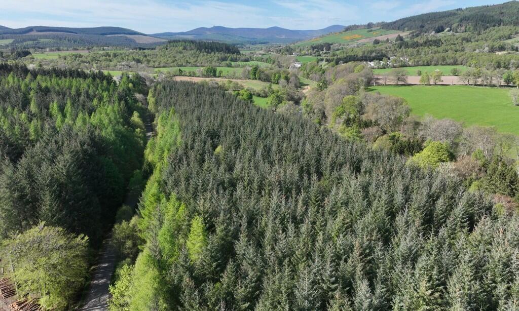 Additional image 11 of Affrusk Woodland, Banchory AB31