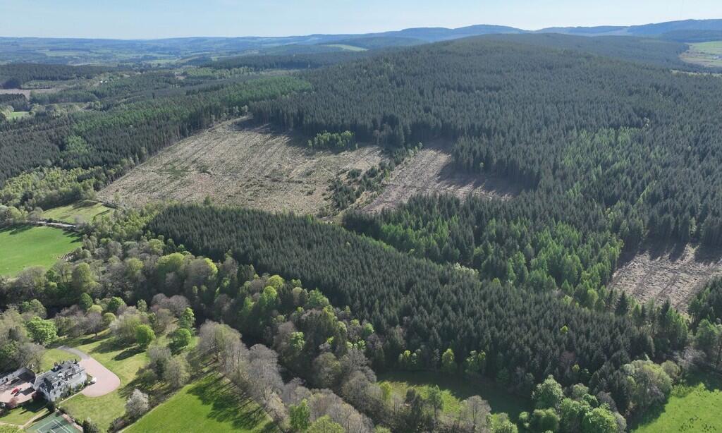Additional image 9 of Affrusk Woodland, Banchory AB31