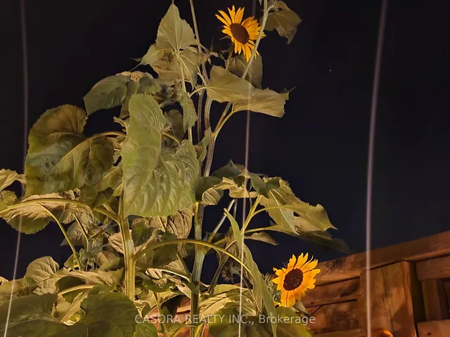 Additional image 22 of 3049 Glencrest Rd Unit 27