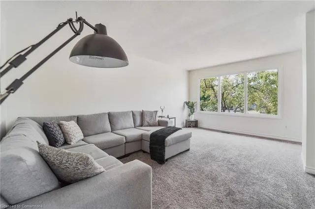 Additional image 8 of 50 Odessa St