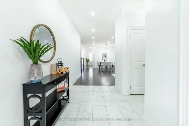 Additional image 6 of 1267 Raspberry Terr