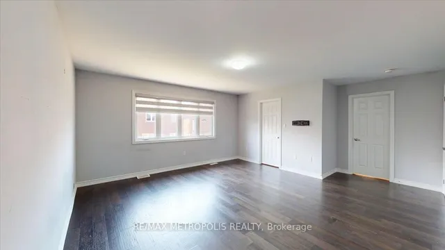 Additional image 21 of 84 Iceland Poppy Tr