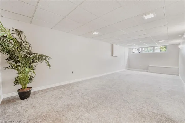 Additional image 25 of 50 Odessa St