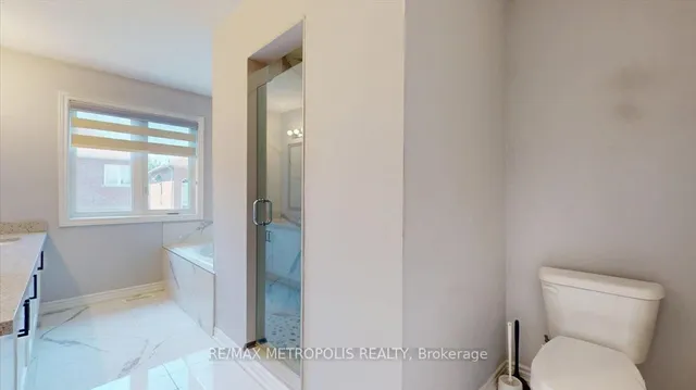 Additional image 25 of 84 Iceland Poppy Tr