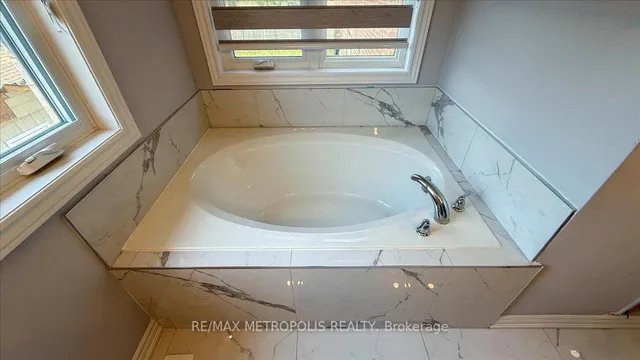 Additional image 24 of 84 Iceland Poppy Tr