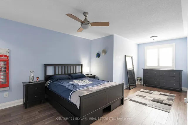 Additional image 23 of 26 Windswept Tr