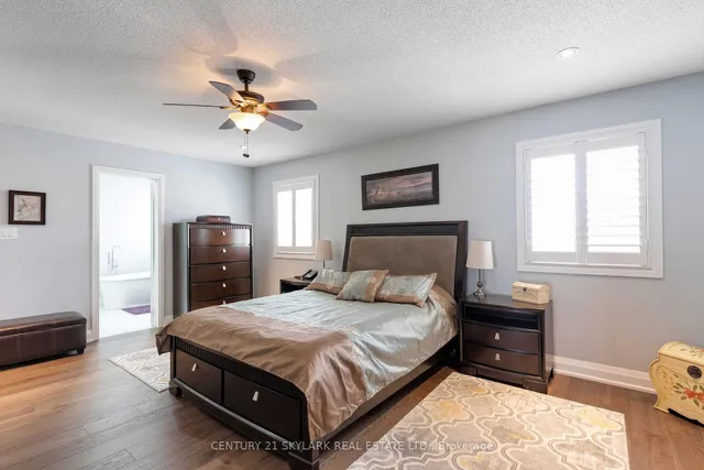 Additional image 26 of 26 Windswept Tr