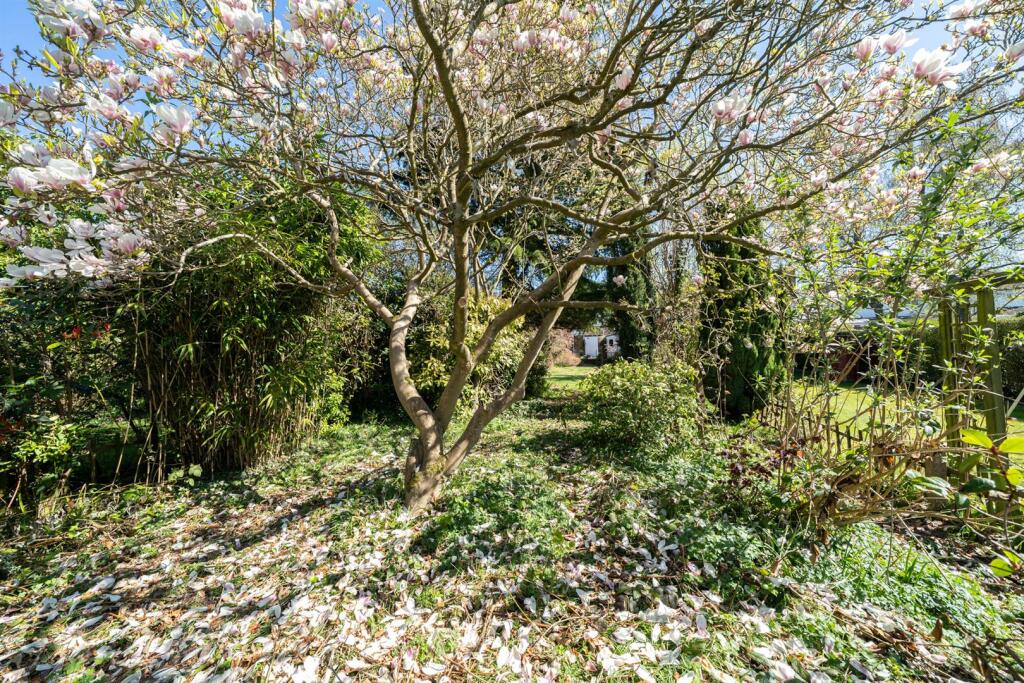 Additional image 17 of Beechwood Avenue, St. Albans