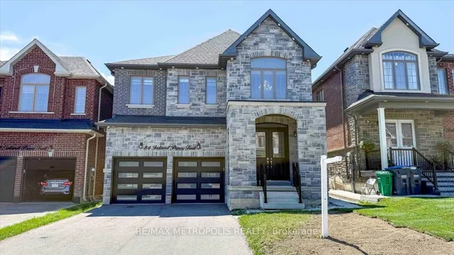 Additional image 2 of 84 Iceland Poppy Tr