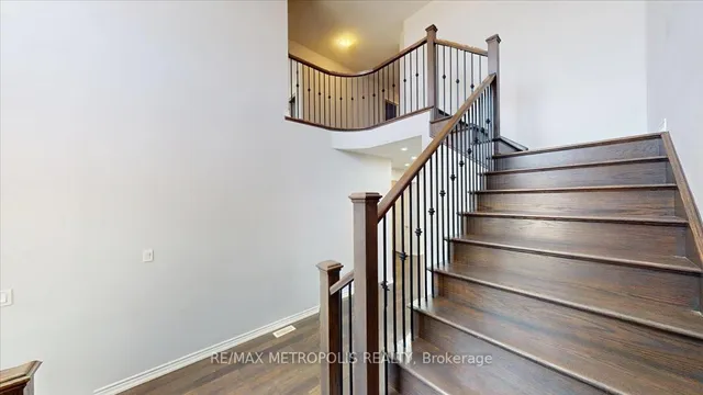 Additional image 13 of 84 Iceland Poppy Tr