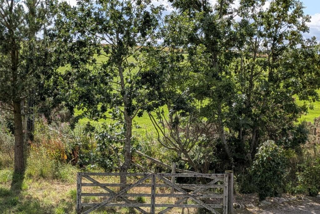 Additional image 40 of North Coldstream, Drumoak, Banchory, AB31