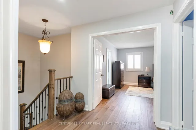 Additional image 22 of 26 Windswept Tr