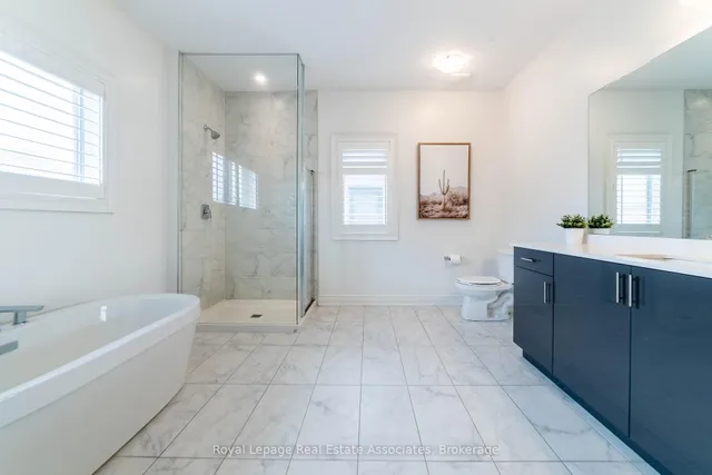 Additional image 28 of 1267 Raspberry Terr