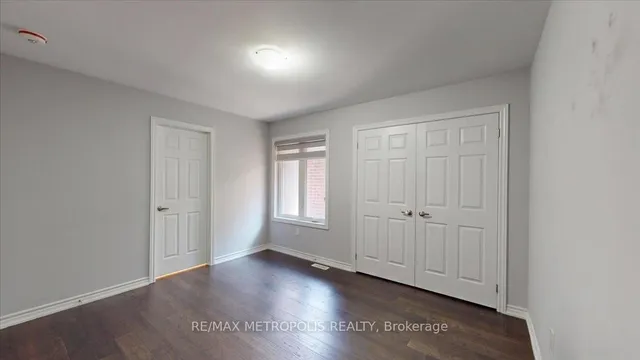 Additional image 19 of 84 Iceland Poppy Tr