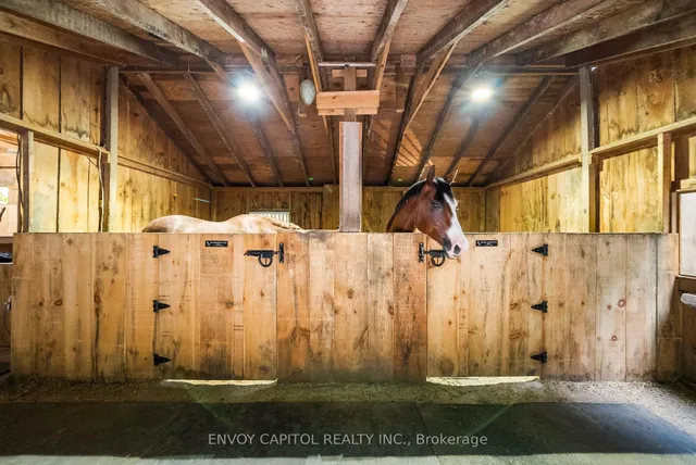 Additional image 35 of 11636 6th Line