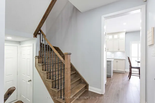 Additional image 8 of 26 Windswept Tr