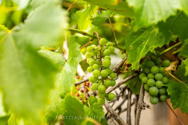 Additional image 21 of 802 Yates Dr