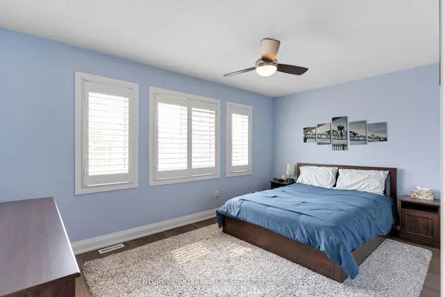 Additional image 24 of 26 Windswept Tr