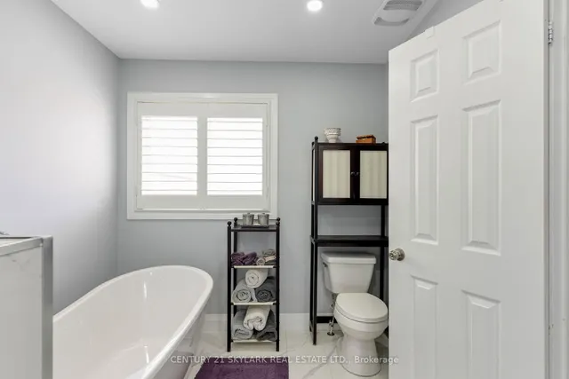 Additional image 29 of 26 Windswept Tr