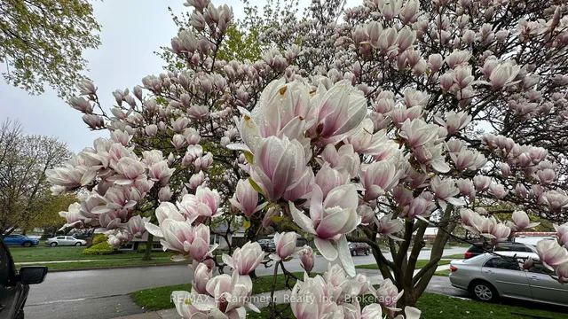 Additional image 47 of 2410 Tait Ave