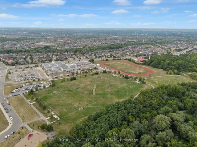 Additional image 47 of 36 Zebra Tr