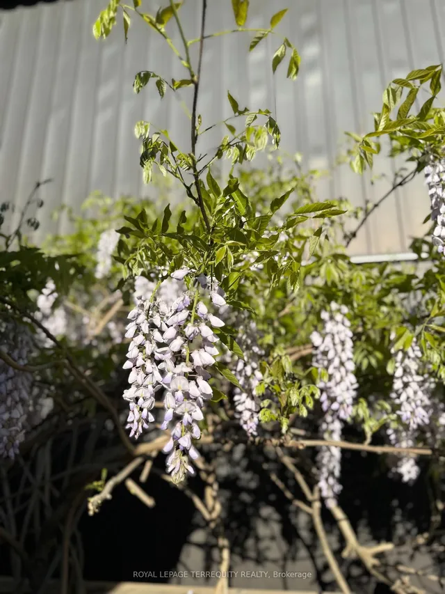 Additional image 39 of 261 Homewood Ave