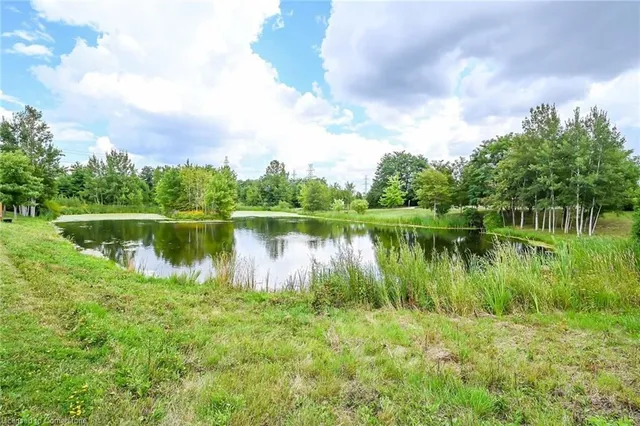 Additional image 48 of 31 Abbotsford Trail