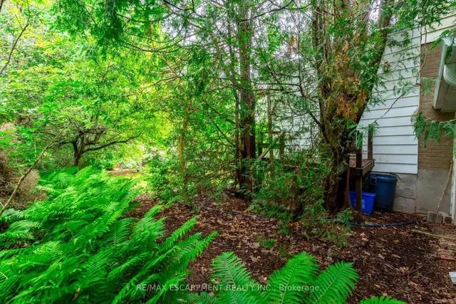 Additional image 31 of 626 George St